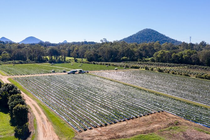 Regional Producers Food Tour - Meet the Producers