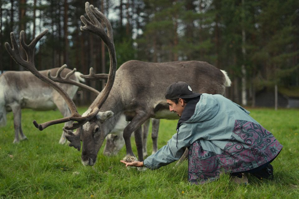 Reindeer Farm Visit With Professional Photographer - Customer Experience Highlights