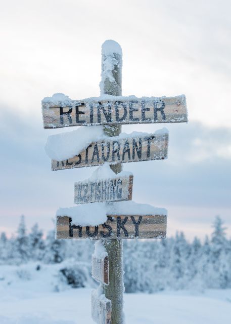 Reindeer Safari and Visit to Reindeer Farm - Activity Highlights