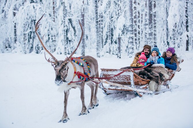 Reindeer Safari With Snowmobile and Cross the Arctic Circle Tour From Rovaniemi - Cancellation Policy