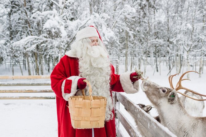 Reindeer Sleigh Ride and Farm Experience From Rovaniemi - Common questions