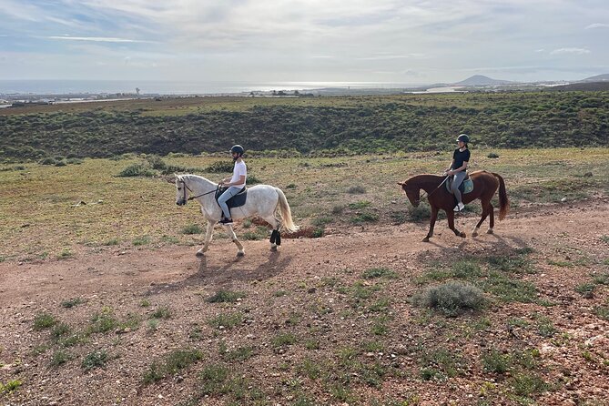 Relaxing Horse Riding Tour in Gran Canaria - Reviews and Traveler Feedback