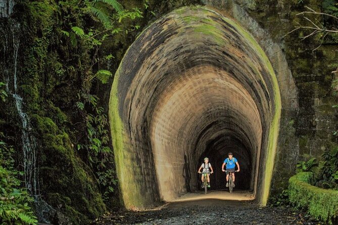 Remutaka Rail Trail Ebike Explorer Cycle Tour - Positive Traveler Feedback