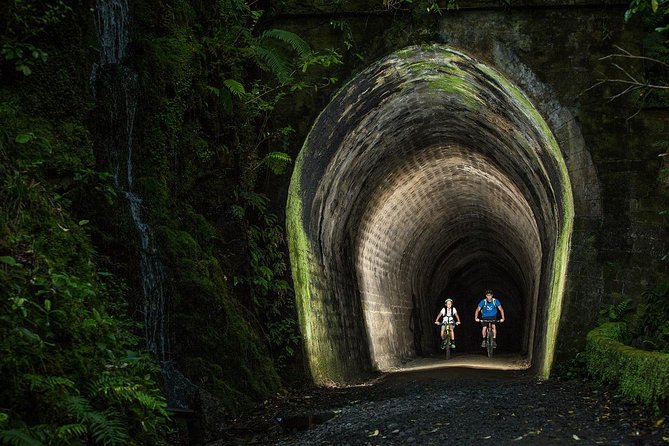 Remutaka Rail Trail Explorer - Ebike Cruise Ship Shore Excursion - Reviews and Ratings