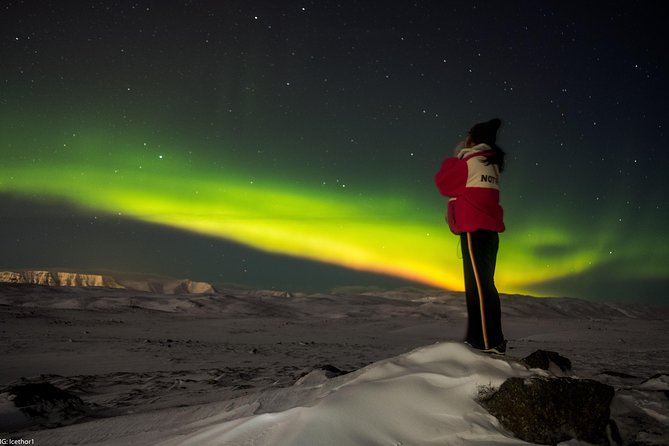 Reykjavik Small-Group Northern Lights Hunting Tour - Round-Trip Transfers