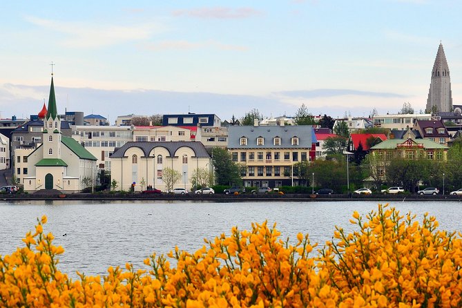 Reykjavik Walking Tour - Walk With a Viking - Traveler Experience and Feedback