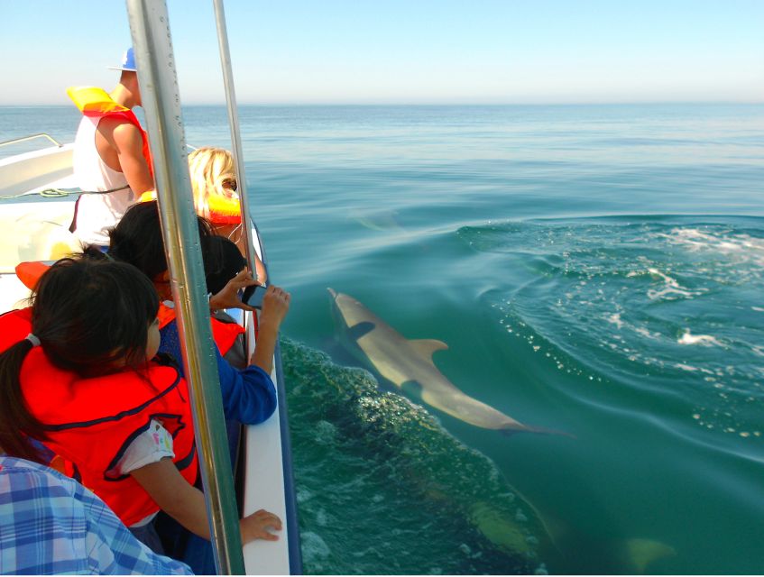 Ria Formosa: Dolphin-Watching Boat Tour - Booking Options