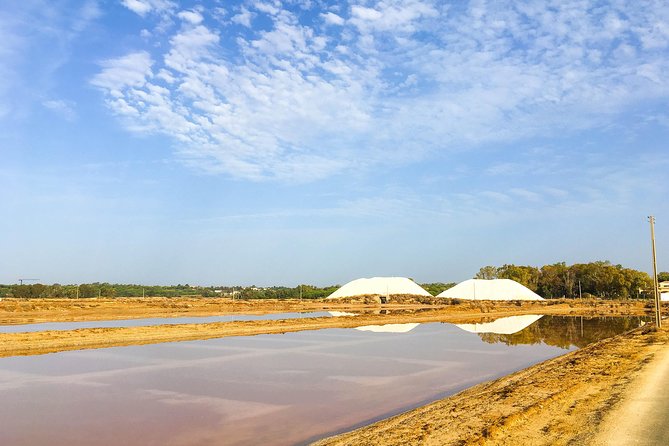 Ria Formosa Natural Park Birdwatching Segway Tour From Faro - Tour Benefits