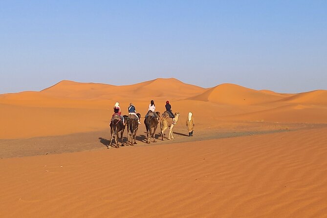 Ride the Camels for Sunset in Merzouga Dunes - Expectations and Policies