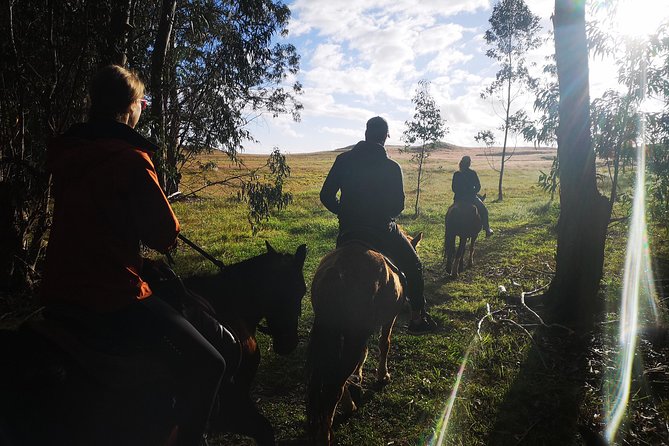 Ride to Watch the Sunset From the Highest Point of the Island - The Journey to the Summit