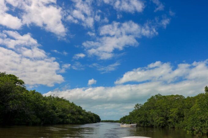 Rio Lagartos: River Boat Tour With Natural Mayan Bath - Directions to Rio Lagartos Meeting Point