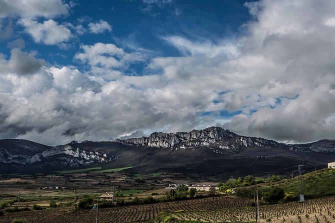 Rioja Wine Tour: Winery & Traditional Lunch From Bilbao - Traveler Reviews and Ratings