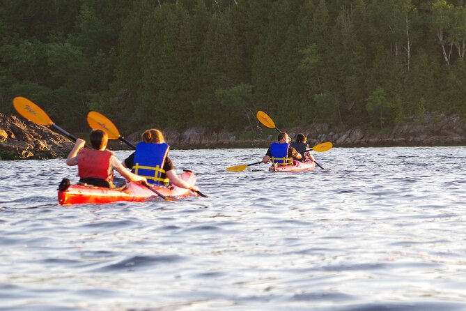 River Relics Kayaking Adventure - Convenient Logistics