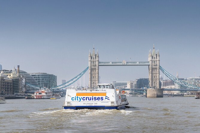 River Thames Sightseeing Cruise - One Way - Safety and Accessibility Guidelines