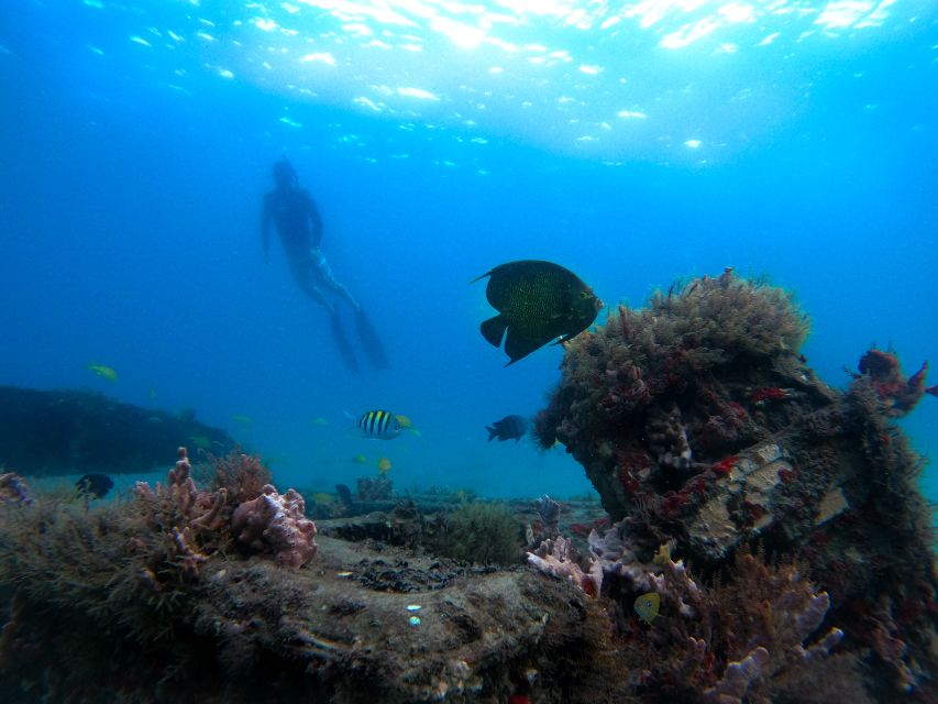 Riviera Beach, FL: Blue Heron Bridge Reef Snorkeling Tour - Full Description