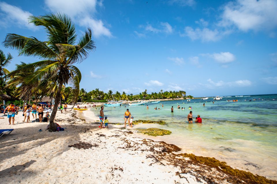 Riviera Maya: Turtles Encounter at Akumal Beach - Experience Highlights at Akumal Beach