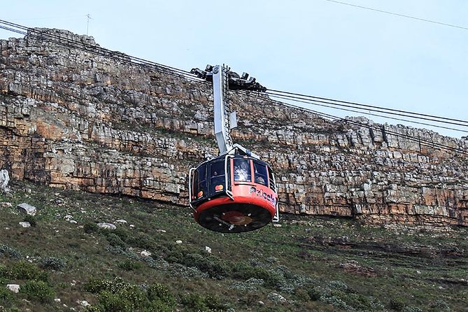 Robben Island Tour & Table Mountain Guided Tour - Visitor Feedback