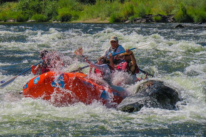 Rogue River Hellgate Canyon Half-Day Trip - Expectations and Requirements
