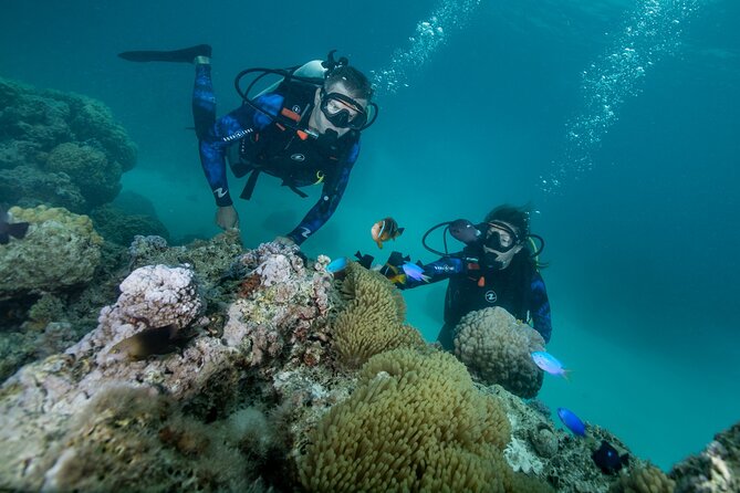 Romantic Dive in the Lagoon of Bora Bora. Private Instructor on a Shared Boat - Cancellation Policy