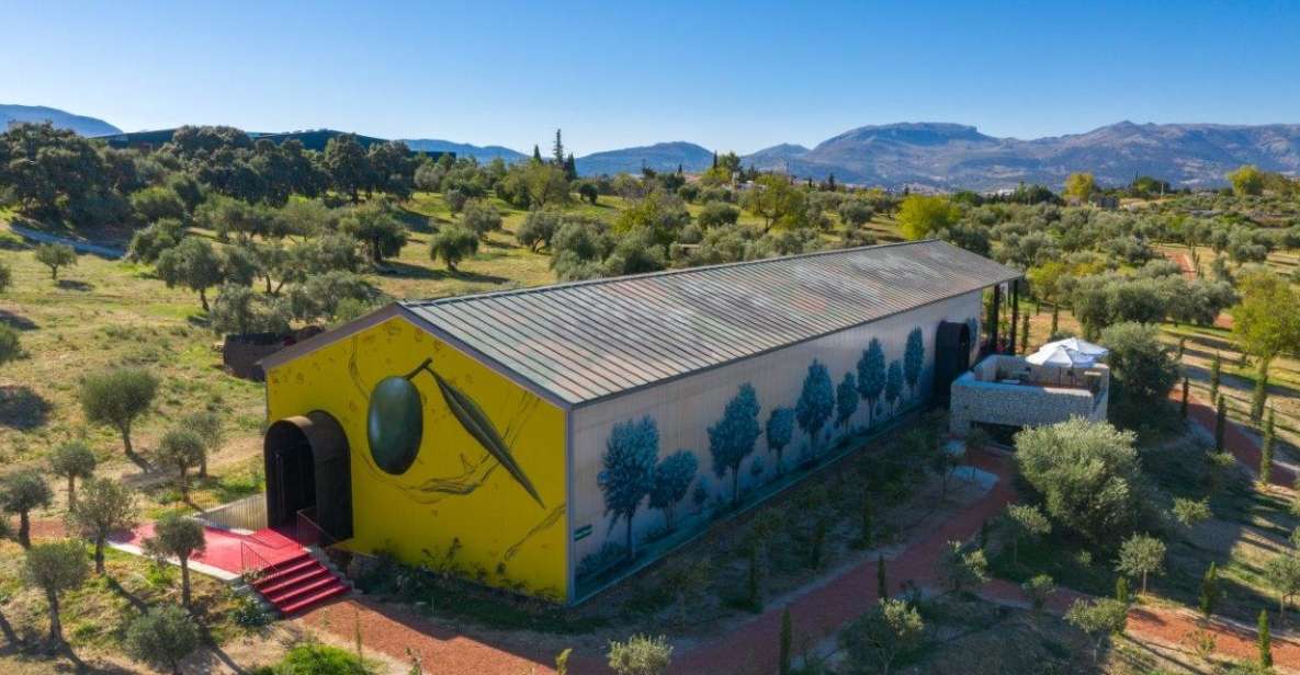 Ronda: Organic Olive Oil Tour With Tasting - Experience Highlights