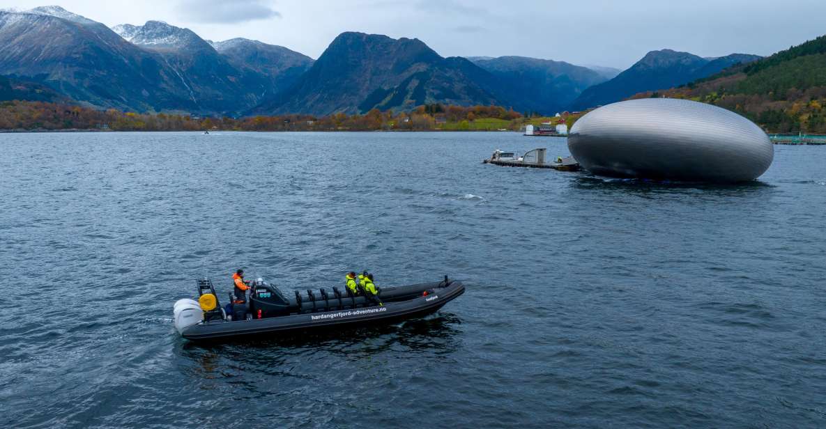 Rosendal Majesty: Exclusive RIB Adventure in Hardangerfjord - Reserve Now & Pay Later