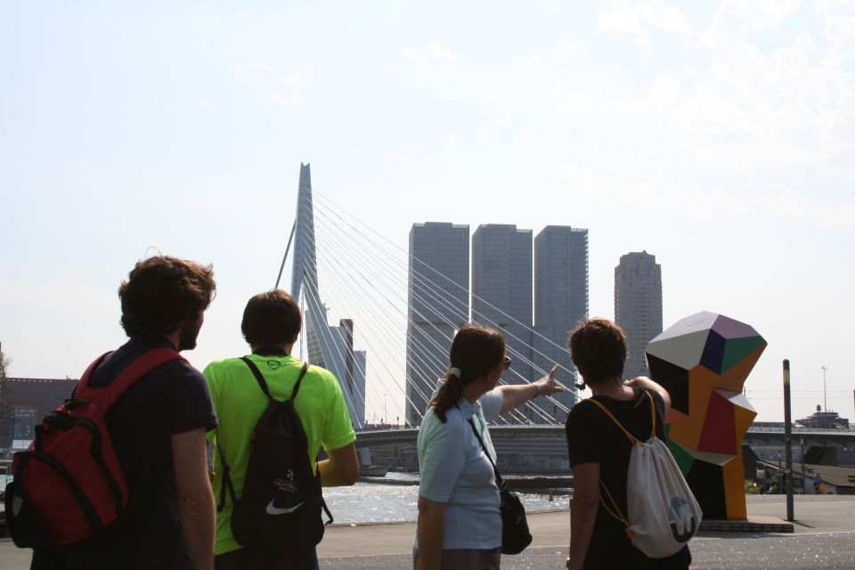 Rotterdam: Group Architecture Walking Tour Led by Architects - Tour Description