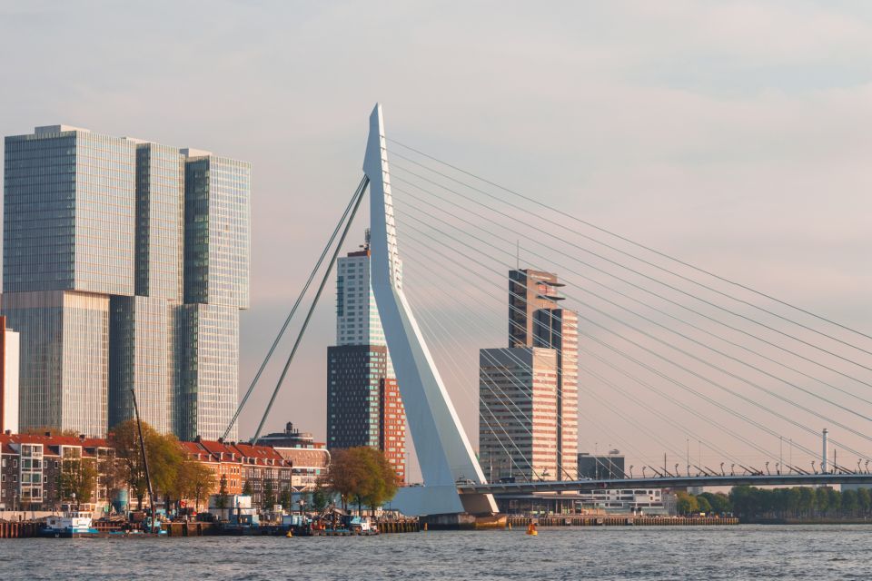 Rotterdam Highlights Self-Guided Scavenger Hunt & Tour - Booking & Payment