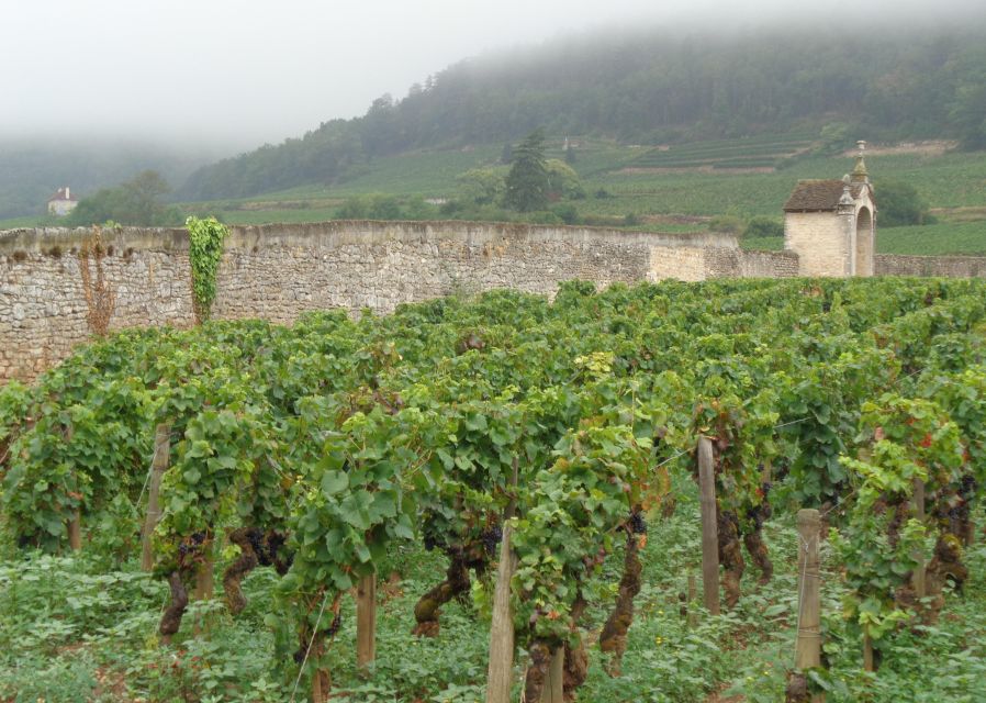 Route Des Grands Crus', Private Wine Tasting in Burgundy! - Inclusions