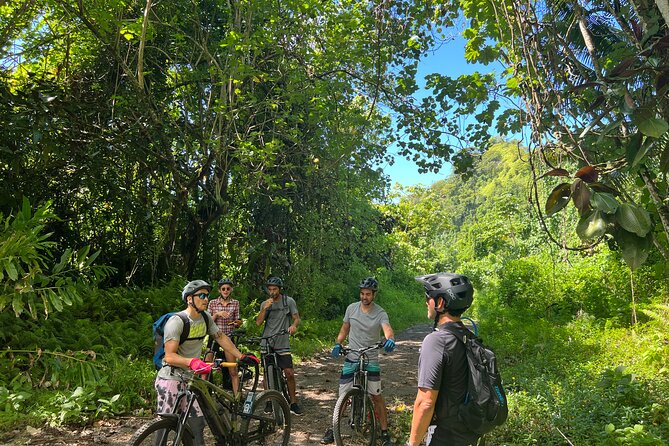 Route N 1 in Electric Mountain Bike Valleys of Teva I Uta - Equipment Included