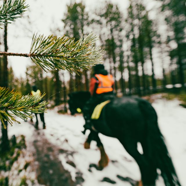 Rovaniemi: Arctic Horse Riding Experience - Reservation Options