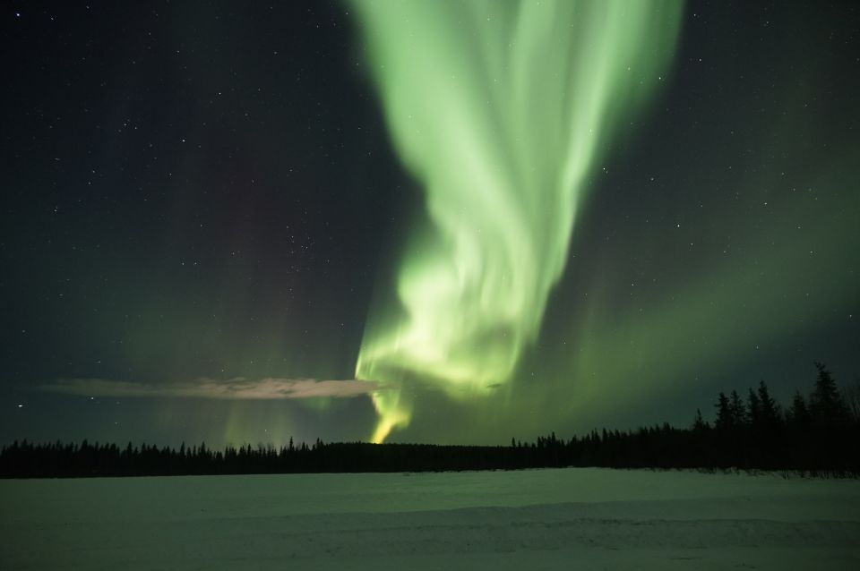 Rovaniemi: Aurora Borealis and Picnic - Booking Information