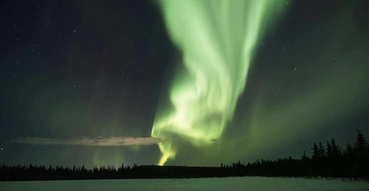 Rovaniemi: Aurora Borealis Hunting Photo Tour - Tour Review Summary