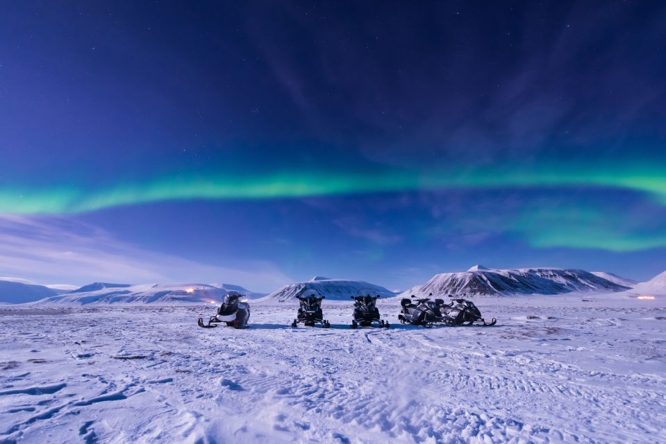 Rovaniemi: Aurora Borealis Snowmobile Safari With Campfire - Customer Reviews