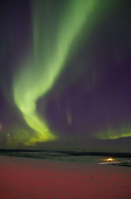 Rovaniemi: Aurora Hunting Tour - Booking Information