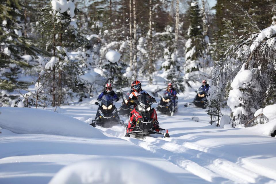 Rovaniemi: Guided Wilderness Snowmobile Ride - Important Information