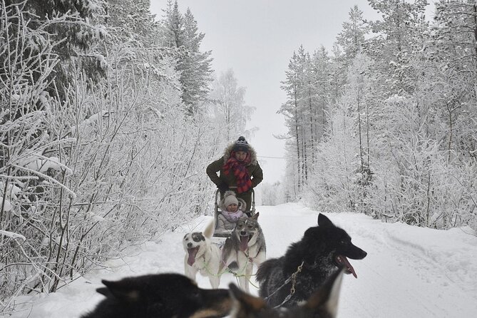 Rovaniemi: Husky Safari Tour & 6-10 Km Self-Driving Mushing - Traveler Reviews