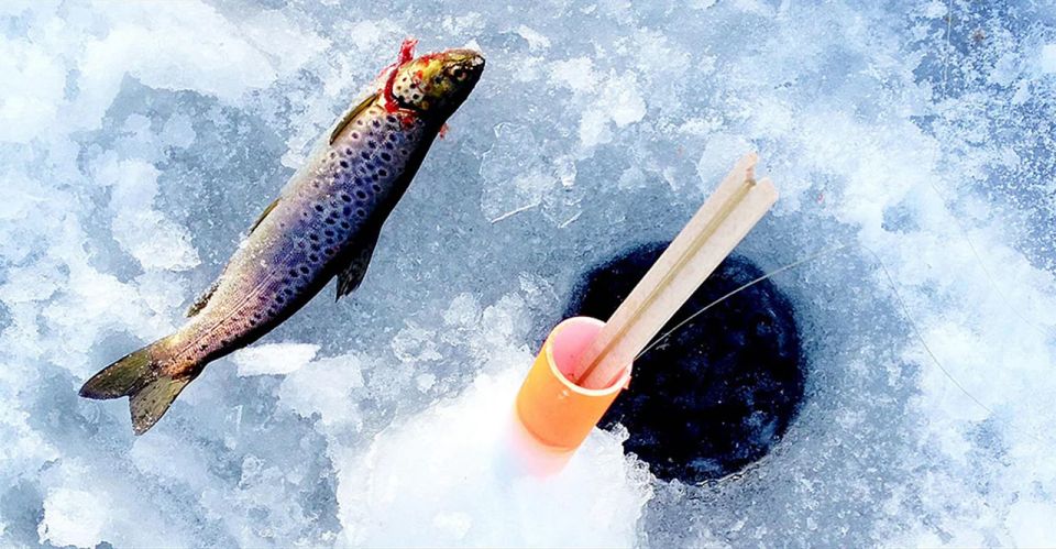 Rovaniemi: Ice Fishing and Sauna Trip With Lappish BBQ - Savor Grilled Arctic Salmon
