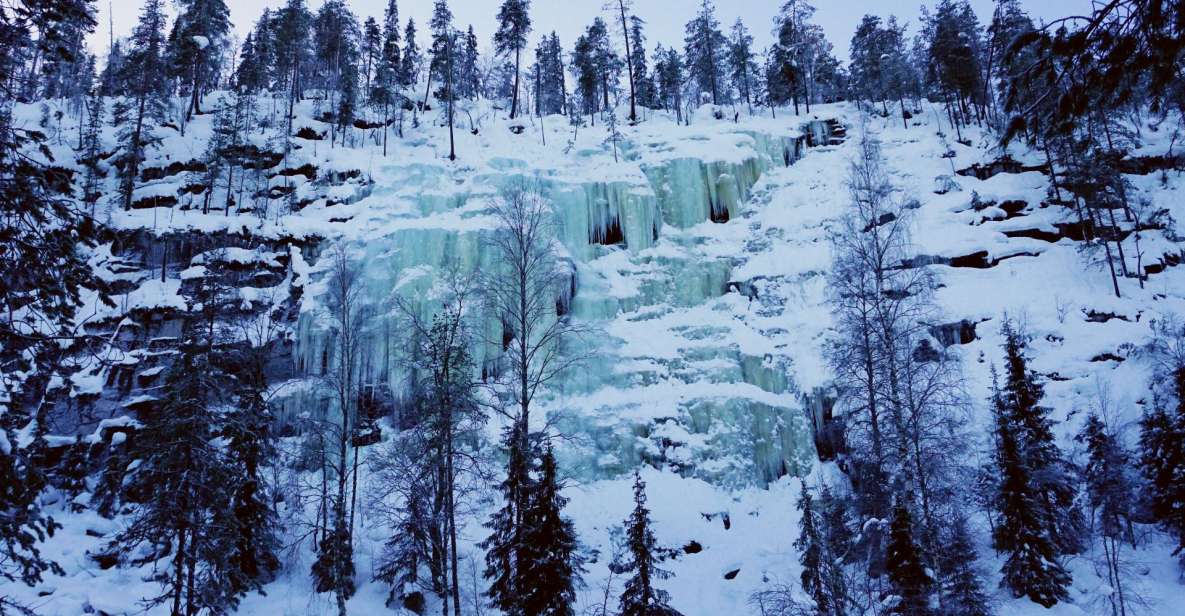 Rovaniemi: Korouoma Canyon and Frozen Waterfalls Tour - Review Summary and Guest Feedback