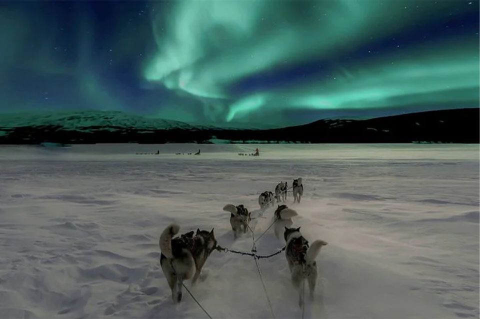 Rovaniemi: Northern Lights and Husky Sleigh Ride - Tour Details and Requirements