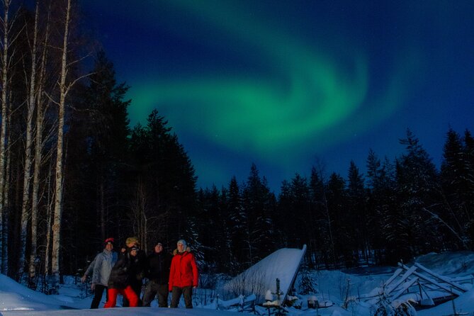 Rovaniemi Northern Lights Hunt With Professional Photographer in a Small Group - What to Expect During the Hunt