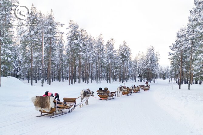 Rovaniemi Reindeer Sleigh Adventure - Weather Policy