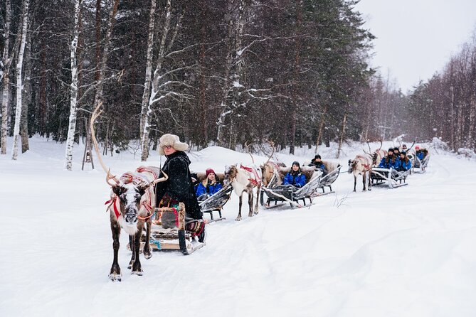 Rovaniemi Reindeer Sleigh Ride (Mar ) - Additional Booking Information