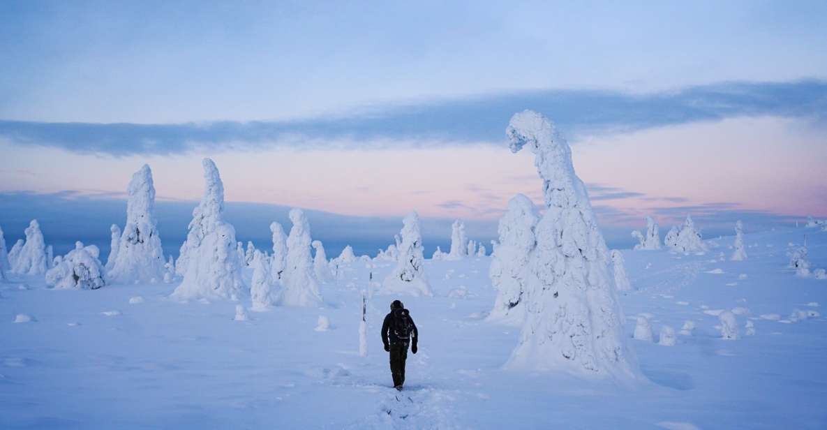 Rovaniemi: Riisitunturi National Park Day Trip With Lunch - Inclusions