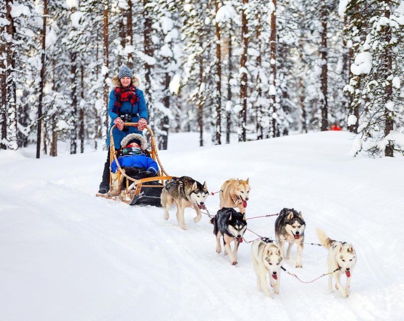 Rovaniemi: Santa Claus Village Guided Tour With Transfer - Full Experience Description