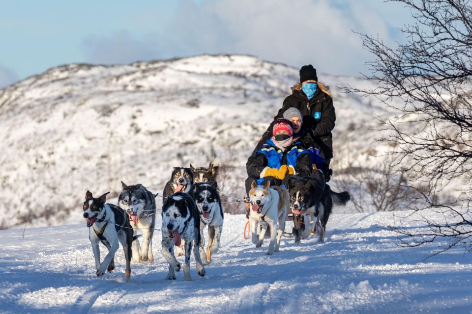 Rovaniemi: Santa Claus Village, Husky & Reindeer Sled Ride - Full Experience Description