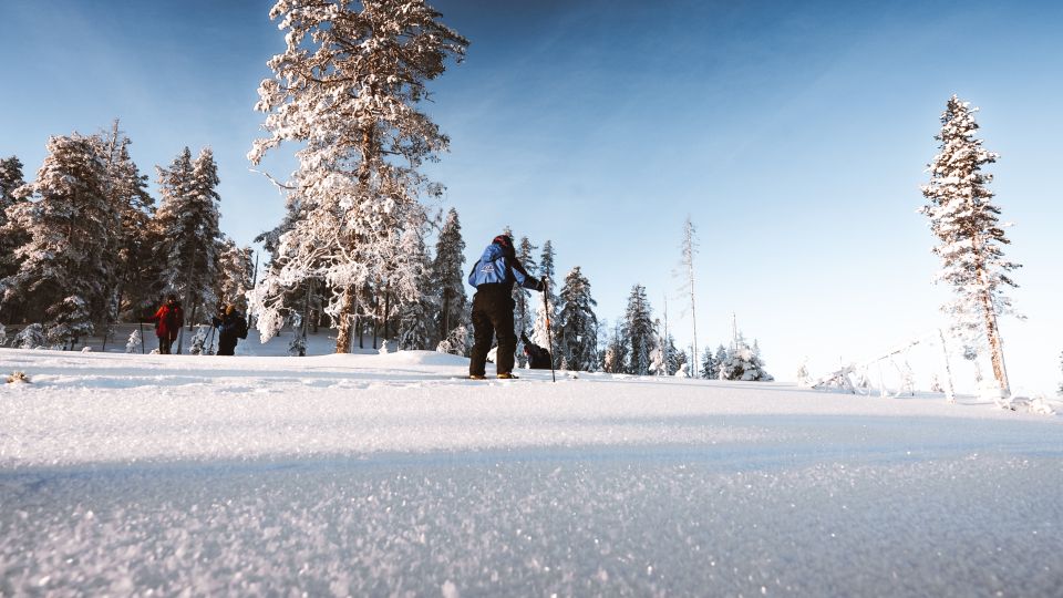 Rovaniemi: Ski Trekking Safari in Lapland - Activity Details