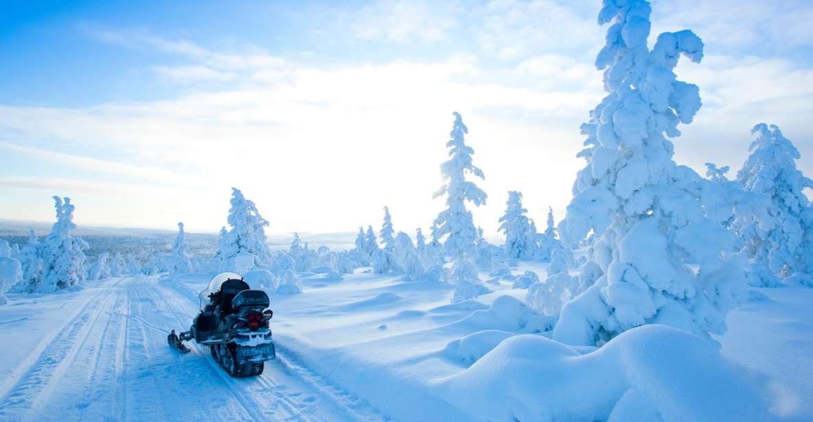 Rovaniemi: Snowmobile Safari in the Arctic Circle - Participant Requirements