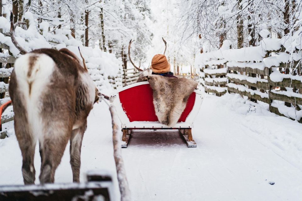 Rovaniemi: Snowmobile Safari, Reindeer & Husky Sleigh Ride - Reservation Options