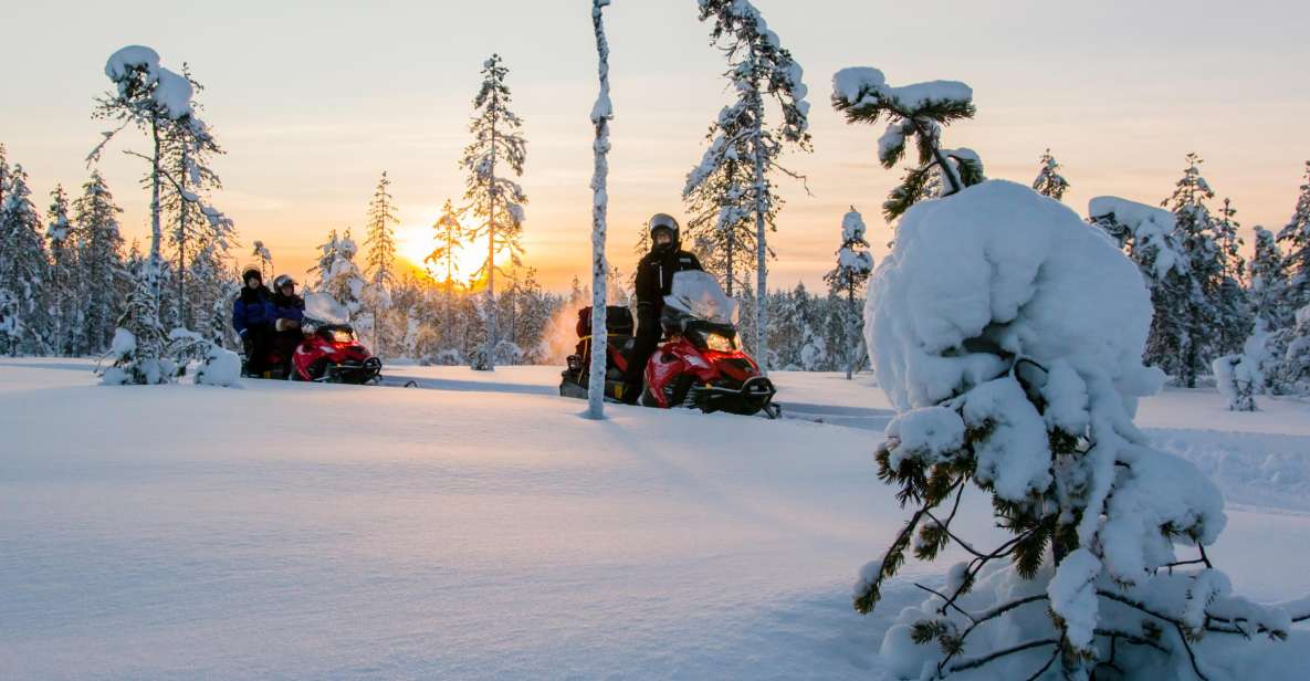 Rovaniemi: Snowmobile Safari to a Reindeer Farm - Booking Information
