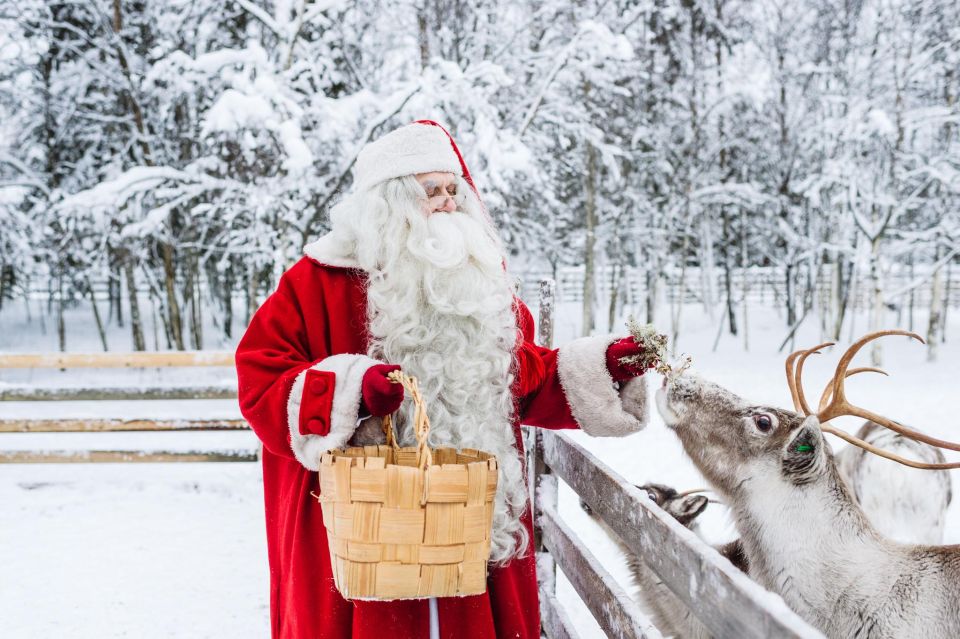 Rovaniemi: Trip to Santa Claus Village With Hotel Transfer - Full Description
